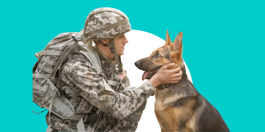 A soldier in military gear crouching down petting a dog