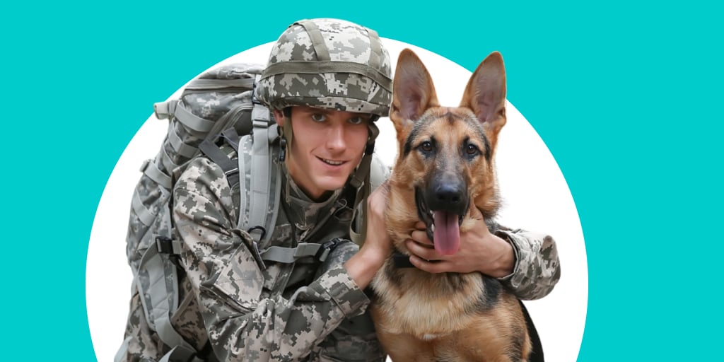 A military soldier crouched over with a German Shepard at their side
